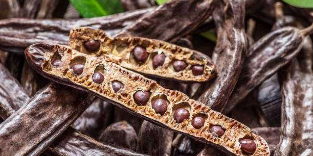 Carob Market Revenue, Region & Country Share, Trends, Growth Analysis Till 2032