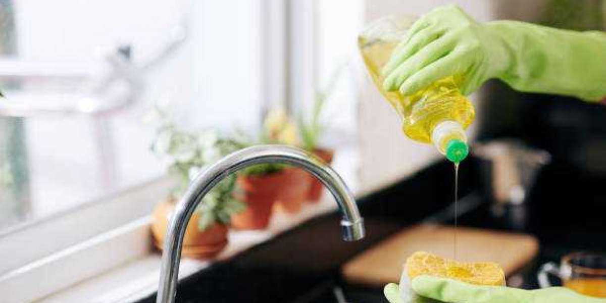 Dishwashing Detergents Market Overview: Analysis of Top Companies by Regional Statistics, Forecast 2032