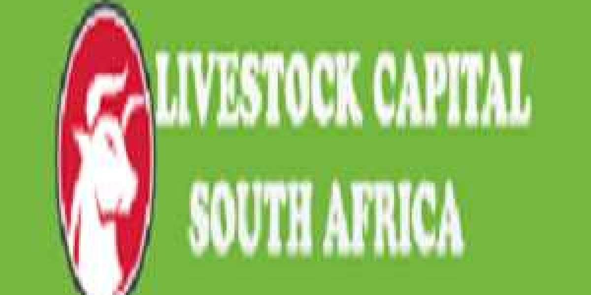 Boer Bucks For sale