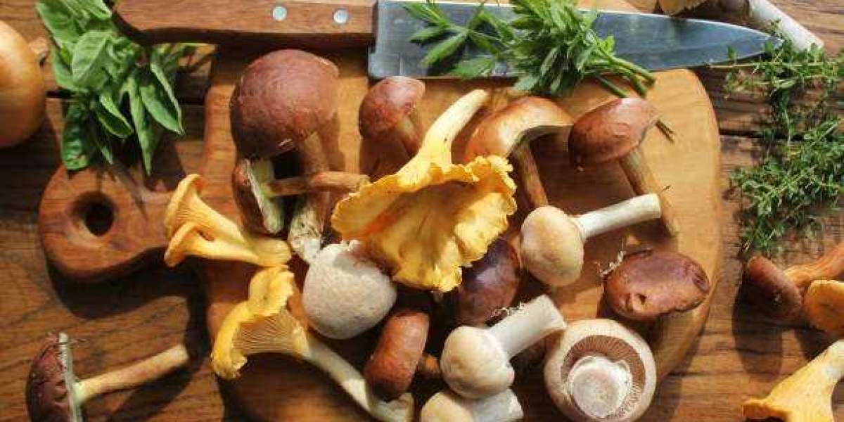 Edible Mushroom Market Study Provides In-Depth Analysis Of Market Along With The Current Trends And Future Estimations 2