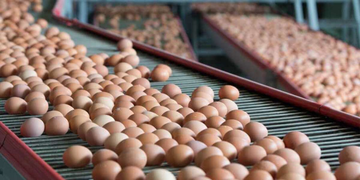 Europe Processed Eggs Market Size, Trend, Report Forecast to 2032.