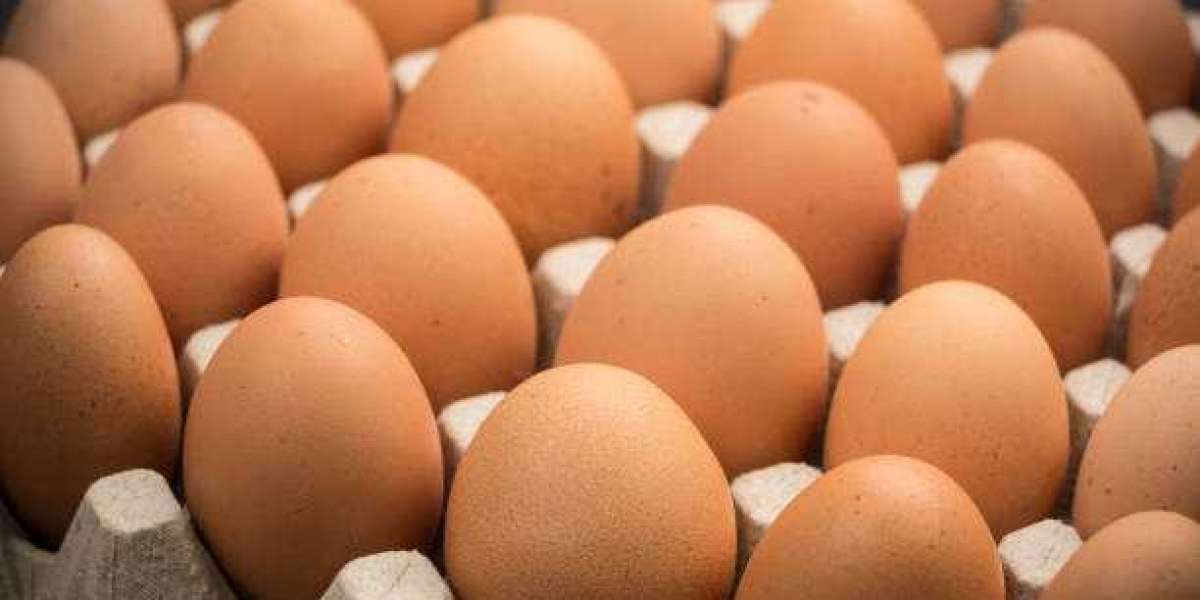 Cage Free Eggs Market Size, Company Revenue Share, Key Drivers & Trend Analysis Till 2030