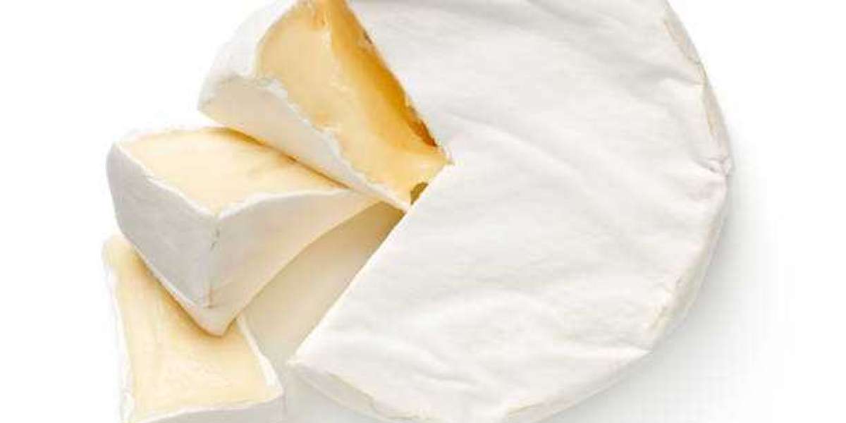 Natural Cheese Market Share, Key Market Players, Trends & Forecast 2028