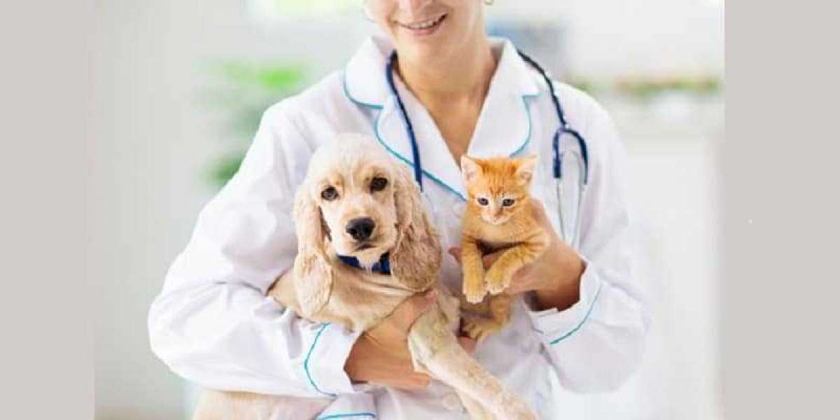 Global Companion Animal Pharmaceuticals Market Size, Trend, Report Forecast 2022 – 2032.