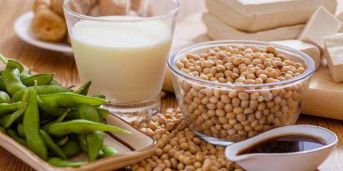 Soy Food Market Share, Business Boosting Strategies, and COVID-19 Demographic, Geographic Segment By 2032