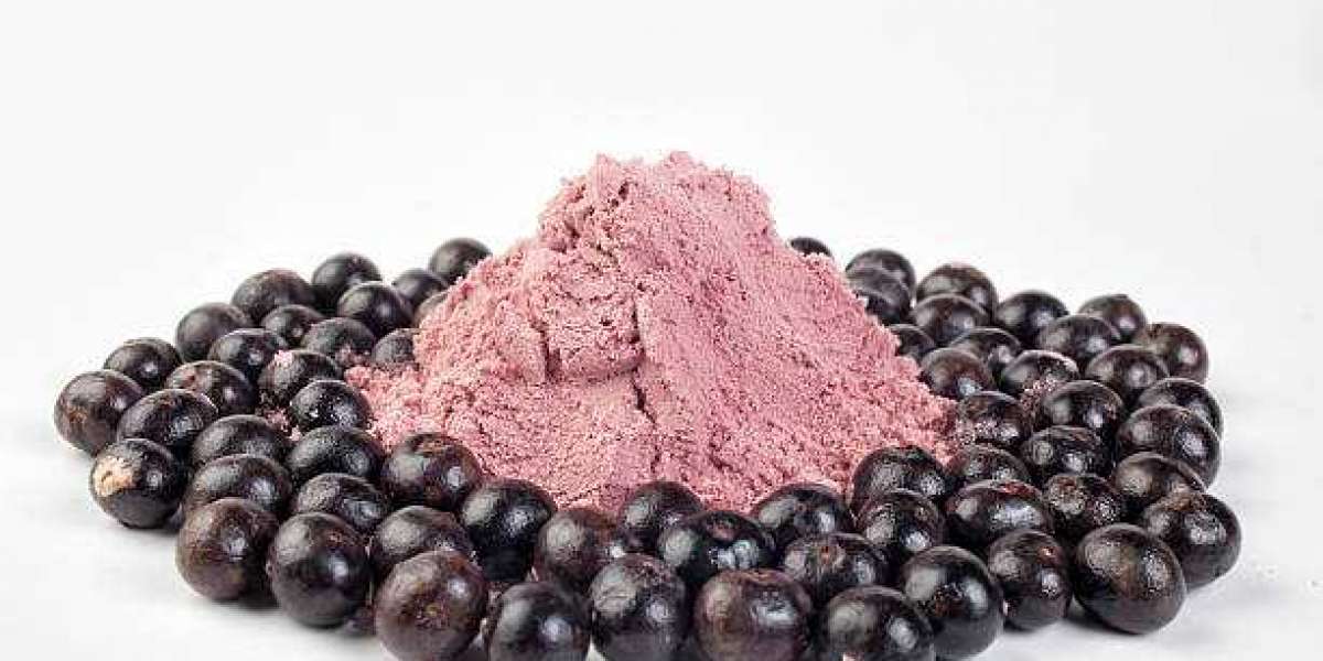 Fruit Powder Market Research, Gross Ratio, Driven Factors, and Forecast 2030