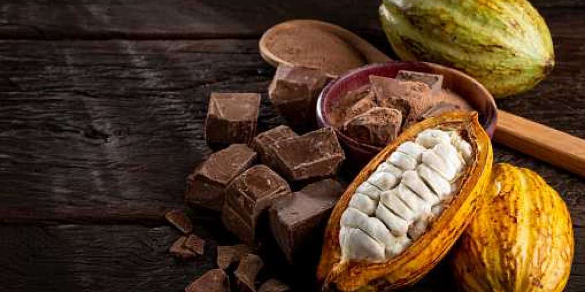 Cocoa Chocolate Market Trends including Regional Demand, Key Players, and Forecast 2030