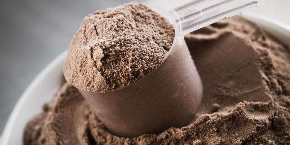 Global Protein Supplements Market Size, Share, Trend, Forecast - 2032