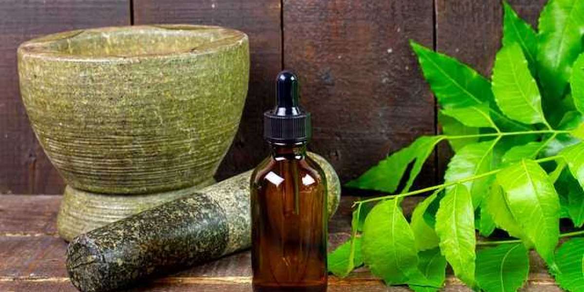 Neem Extract Market Insights, Trends, Size, Share, Industry Analysis and Forecast 2027