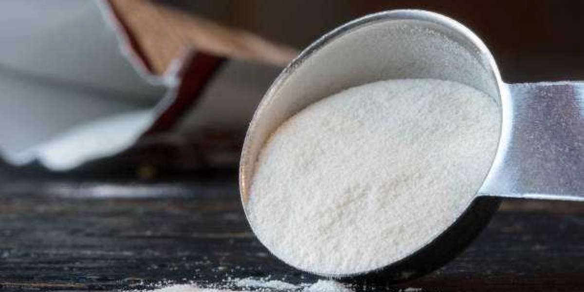 Xanthan Gum Market Outlook | Scope of Current and Future Industry forecast year 2030