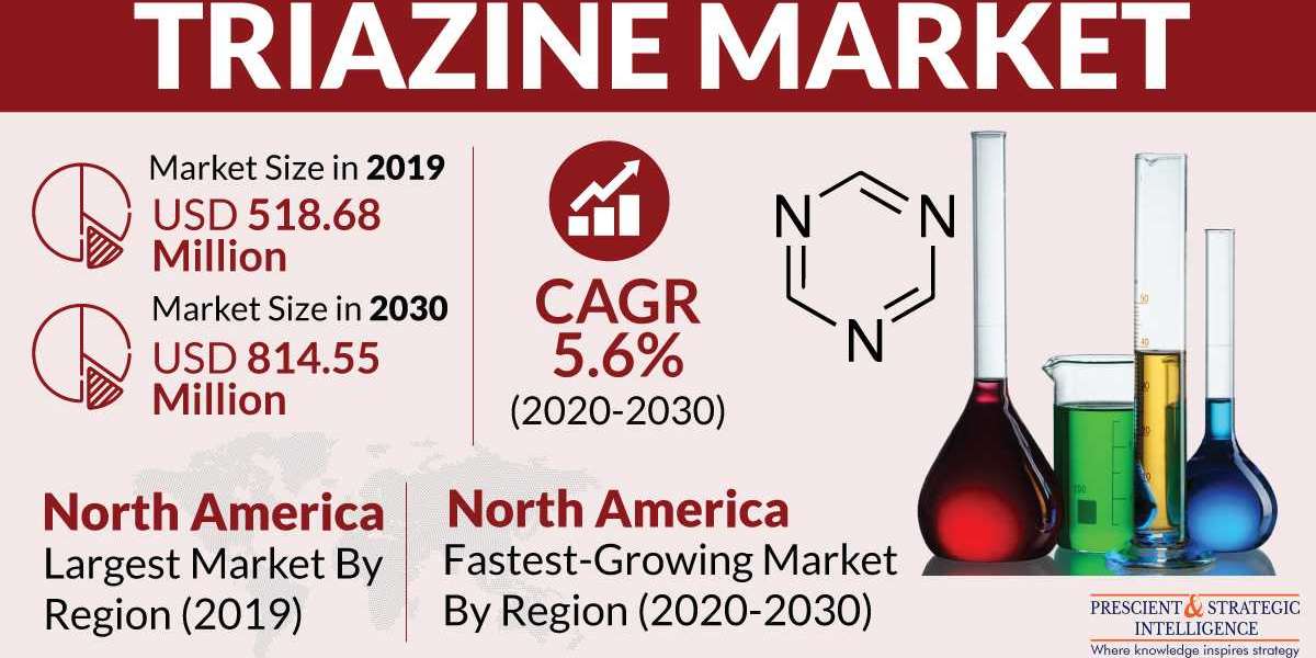 Triazine Market: Unveiling Versatile Applications