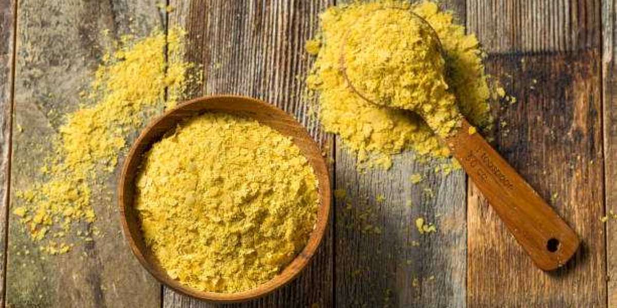Cheese Powder Market Value Share, Supply Demand and Value Chain 2032