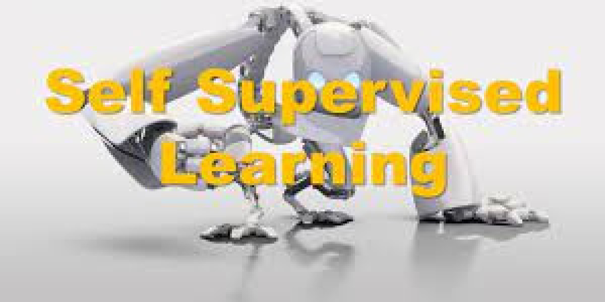 Self-Supervised Learning Market Overview Highlighting Major Drivers, Trends, Growth and Demand Report 2023- 2032
