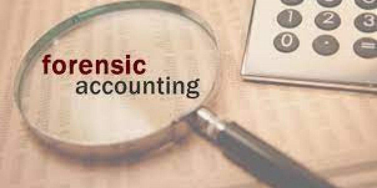 Forensic Accounting Market Growing Popularity and Emerging Trends to 2030