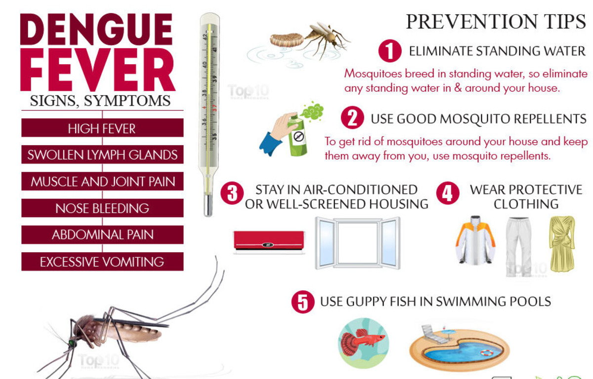डेंगू बुखार अधिक खतरनाक क्यों होता जा रहा है और इसका कारण क्या है? कोरोना से संक्रमित हुए लोग हो जाएं सावधान - TRUEVSION