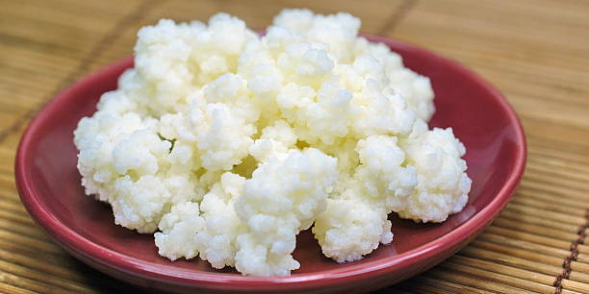 Key Kefir Market Players, Growth, COVID Impact, Trends Analysis Report 2032
