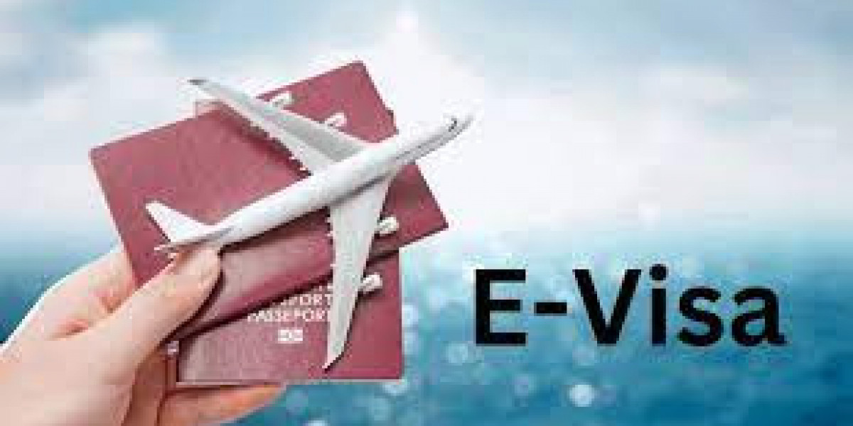 E-Visa Market Professional Survey Report 2032
