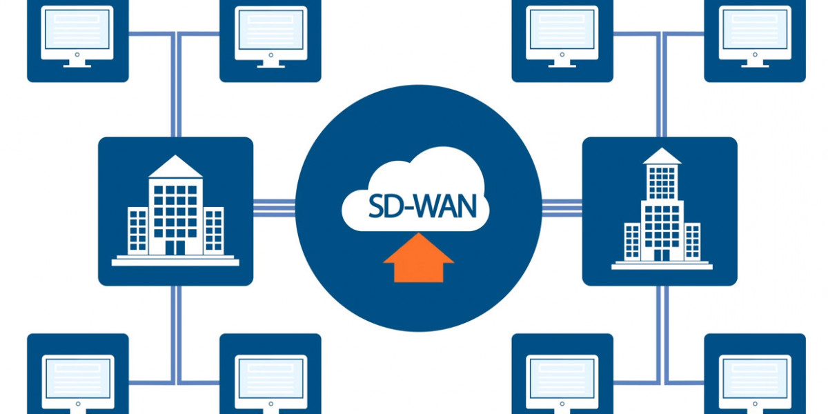 Software-Defined Wide Area Network (SD-WAN) Market Professional Survey Report 2030