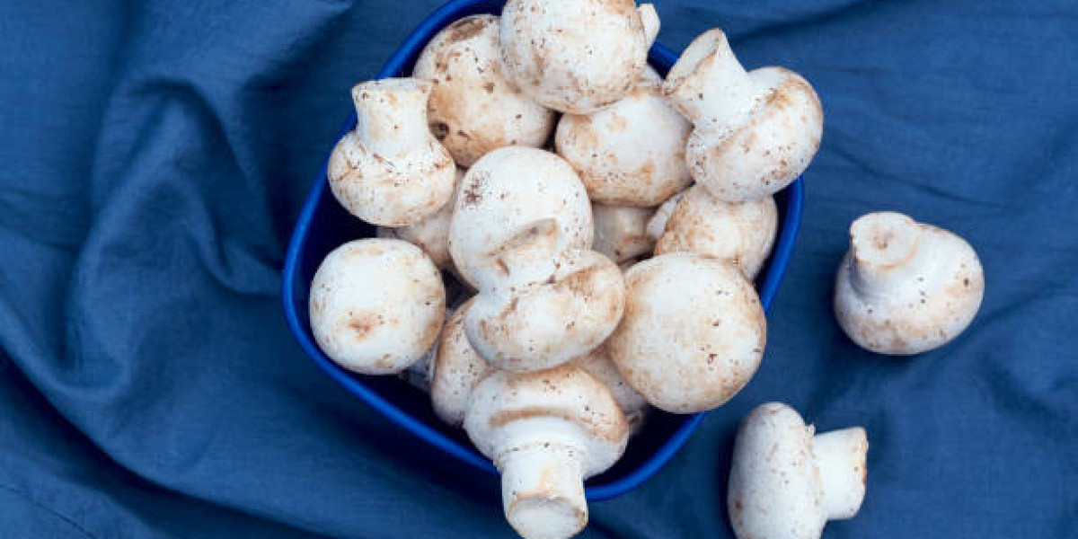 Edible Mushroom Market Outlook by Key Player, Statistics, Revenue, and Forecast 2030