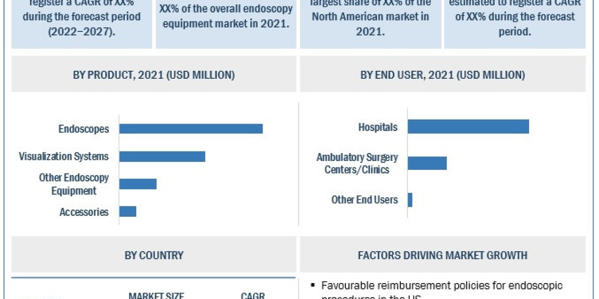 Insights into the Global Endoscopy Equipment Market: Growth Drivers and Regional Dynamics