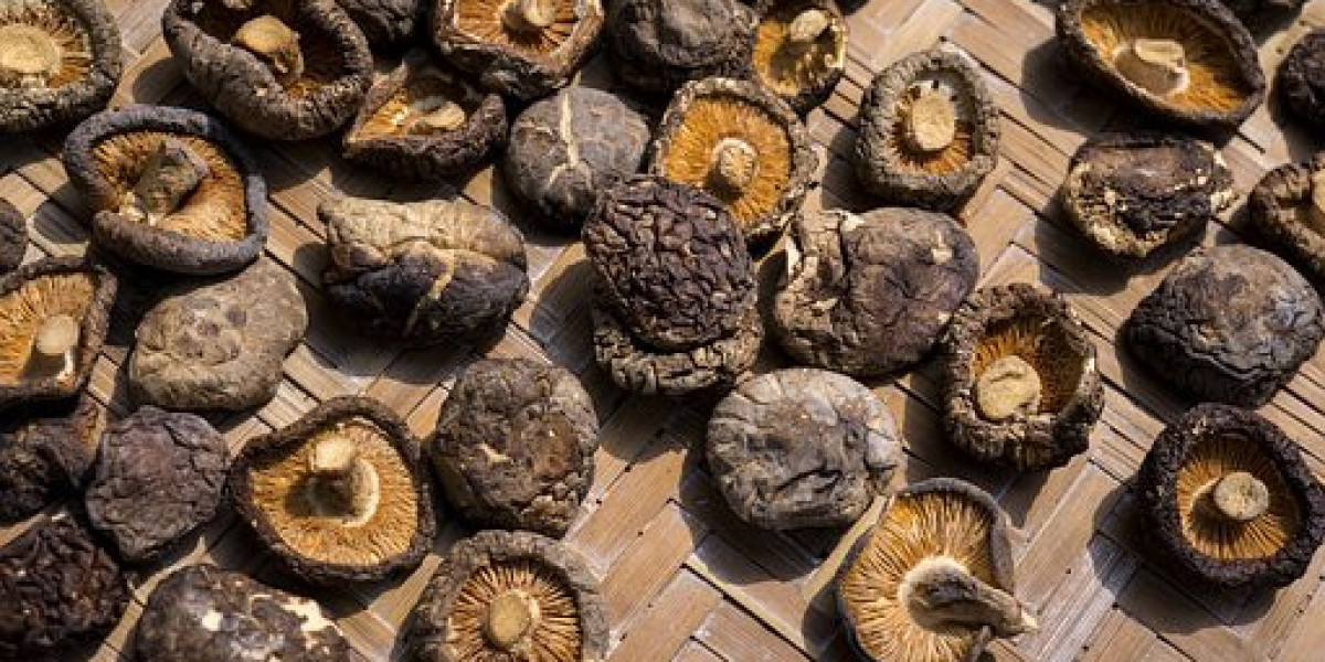 Shiitake Mushroom Market Share with Business Prospects of Competitor | Forecast 2032