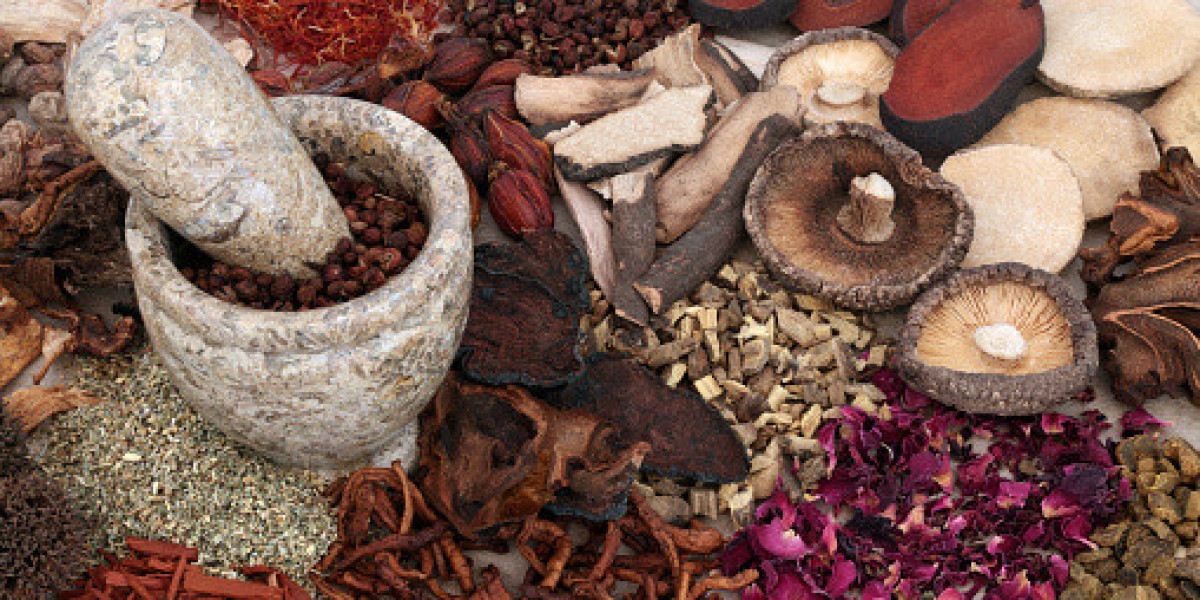 Medicinal Mushroom Extract Market Insights: Growth, Key Players, Demand, and Forecast 2032