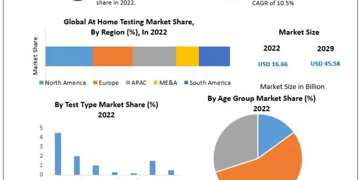 At-Home Testing Market Competitive Dynamics, Growth Analysis, Segmentation and Worldwide Players Strategies up to 2029