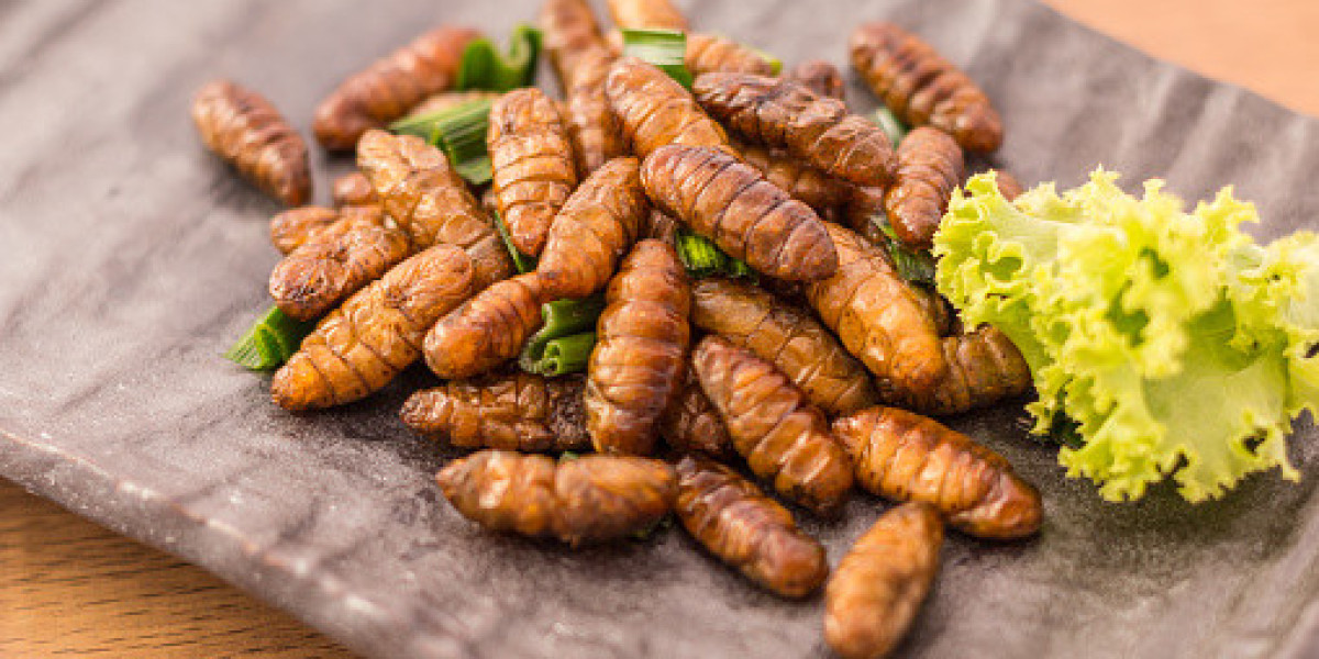 Edible Insects Market Gross Margin by Profit Ratio of Region, and Forecast 2032