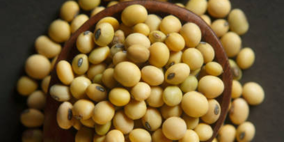 Organic Soybean Market Research: Consumption Ratio and Growth Prospects to 2030