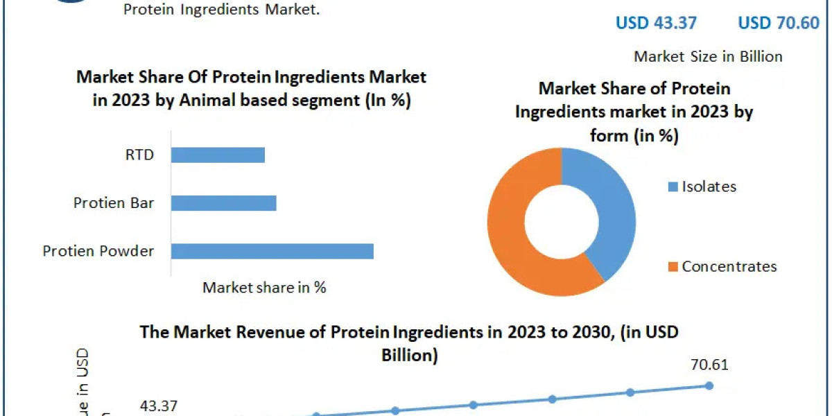 Protein Ingredients Market Overview, Key Players, Segmentation Analysis, Development Status and Forecast by 2029