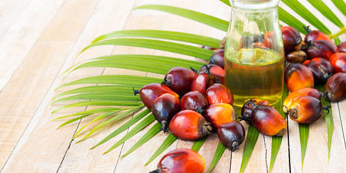 North America & Europe Palm Derivatives Market by Top Competitor, Regional Shares, and Forecast 2028