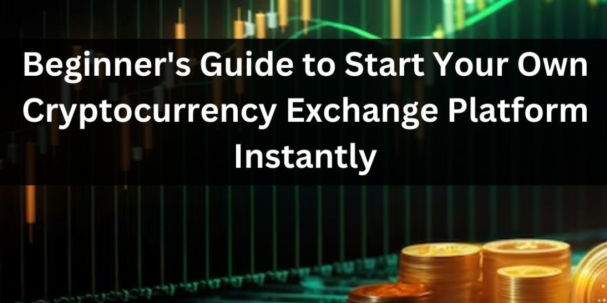 A Beginner's Guide: How to Start Your Own Cryptocurrency Exchange Platform Instantly?