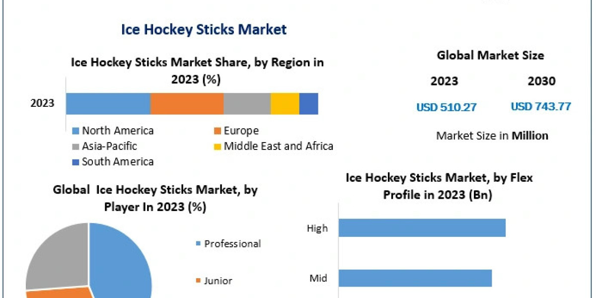 Ice Hockey Sticks Market Industry Size, Share, In-Depth Qualitative Insights, Regional Analysis Forecast to 2029