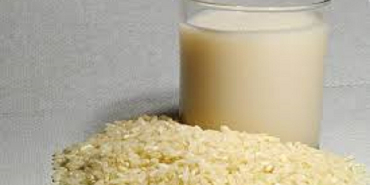 US Rice Milk market size, share and forecast to 2032.