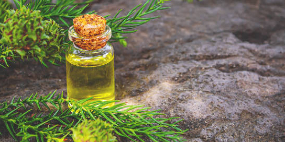 US Agarwood Essential Oil Market to Experience Significant Growth during the Forecast Period 2032