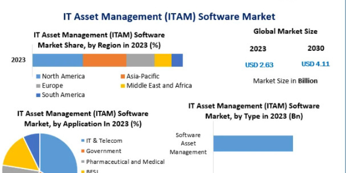 IT Asset Management (ITAM) Software Market Industry Outlook, Size, Growth Factors and Forecast  2030