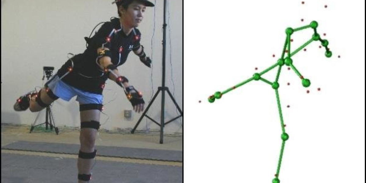 3D Motion Capture Market Report, Industry Share, Growth Research and Forecast 2024-2032