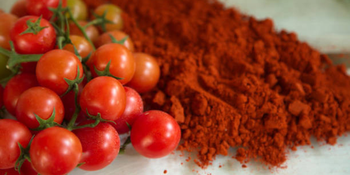 Europe Tomato powder Market Insights: Growth, Key Players, Demand, and Forecast 2032