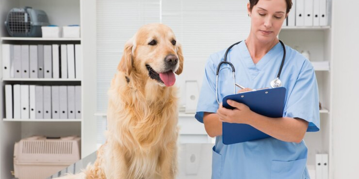 Veterinary Service Market Report, Industry Trends, Analysis and Forecast 2024-2032