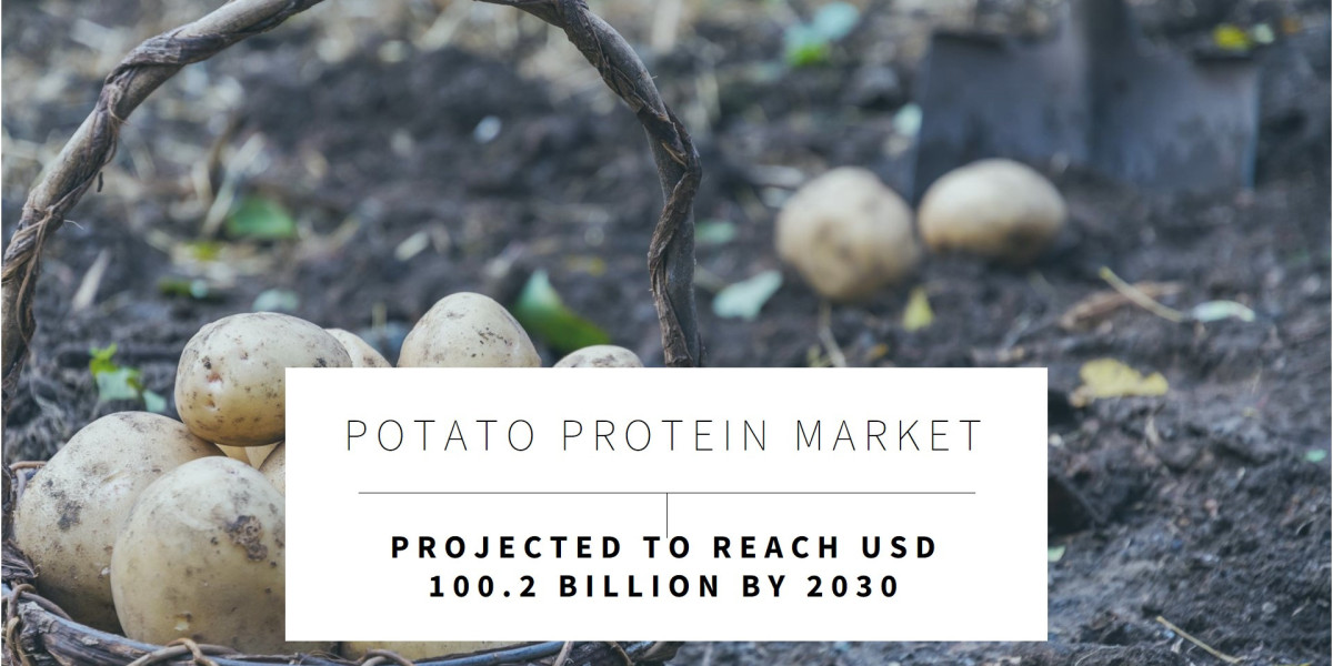 North America Potato Protein Market: Regional Analysis, Key Players, and Forecast 2030