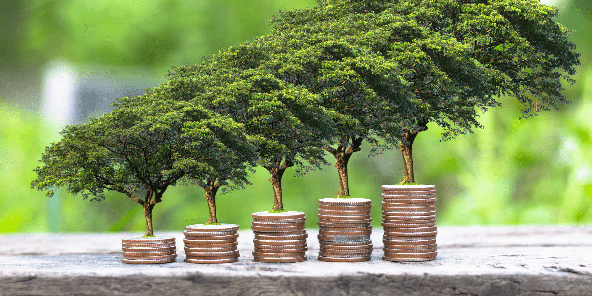 Sustainable Finance and ESG Consulting: Unlocking Opportunities for Malaysian Businesses