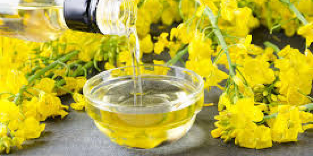 Japanese Canola Oil Market Share, Size, Analysis, Growth, Trends, Revenue, and Report