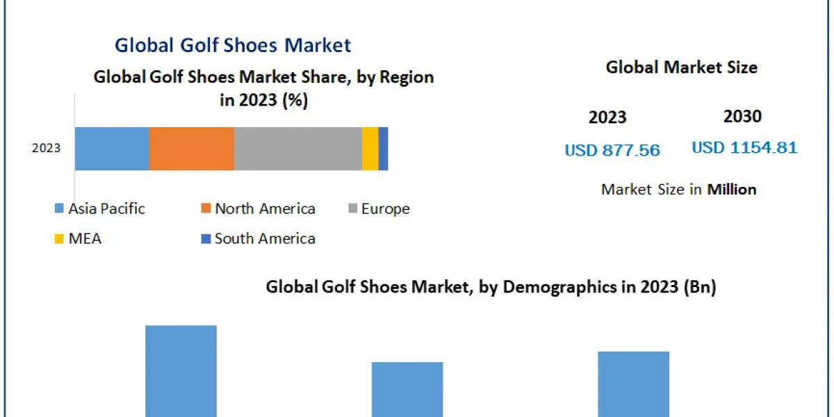 ​Golf Shoes Market Report Provide Recent Trends, Opportunity, Drivers, Restraints and Forecast-2030