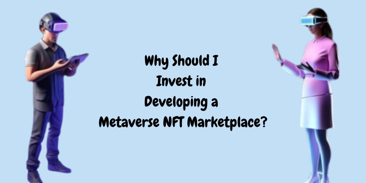 Why Should I Invest in Developing a Metaverse NFT Marketplace?