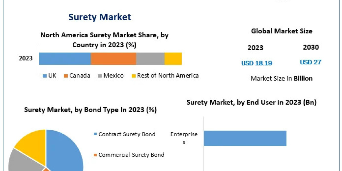 Surety Market Growth, Size, Revenue Analysis, Top Leaders and Forecast 2030