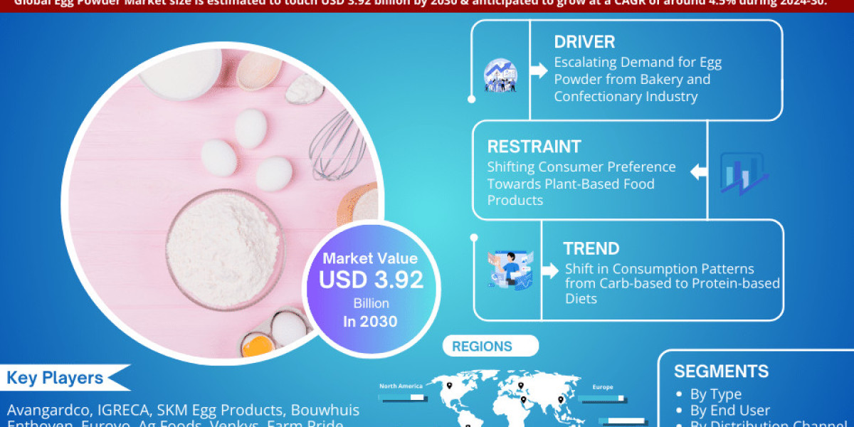 Egg Powder Market Growth, Trends, Revenue, Size, Future Plans and Forecast 2030