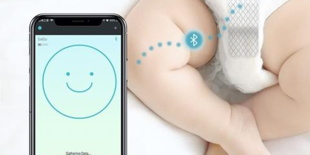 Smart Diaper Market Share, Growth, Trends, Report and Global Forecast 2024-2032