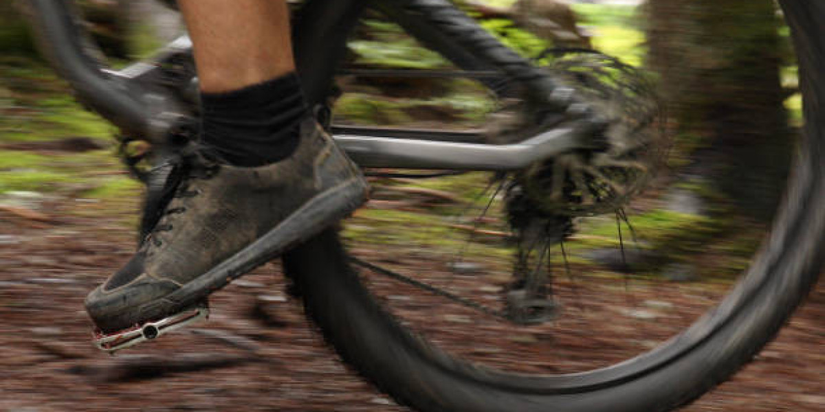 Europe Mountain Bike Footwear and Socks Market Competitive Landscape, Growth Factors, Revenue Analysis To 2030