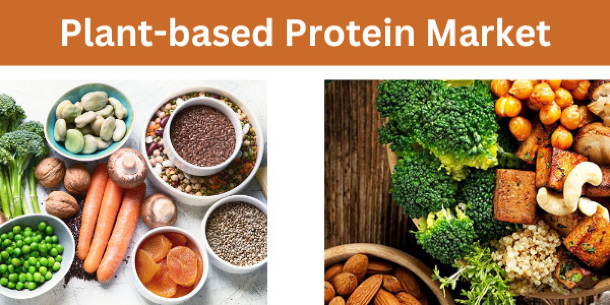 Plant-based Protein Market Analytical Overview and Growth Opportunities by 2033