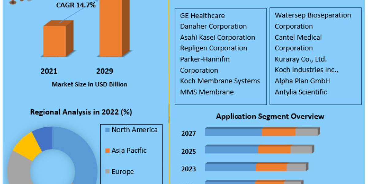 Hollow Fiber Filtration Market Developments, Competitive Landscape and Dynamics by 2029